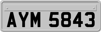AYM5843