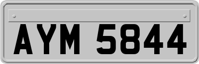 AYM5844