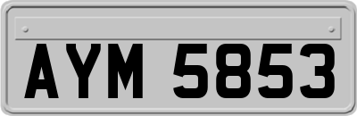AYM5853