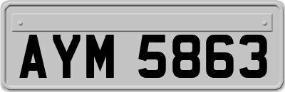 AYM5863