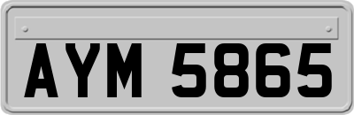 AYM5865