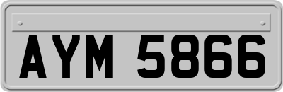 AYM5866