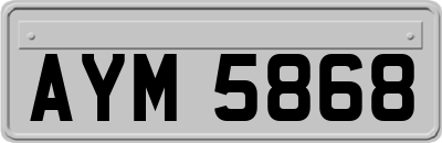 AYM5868
