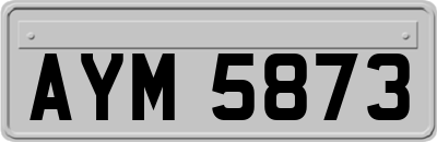 AYM5873