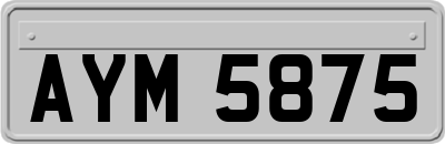 AYM5875