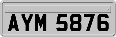 AYM5876