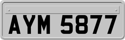 AYM5877