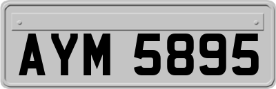 AYM5895