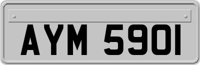 AYM5901