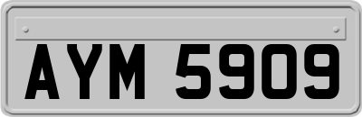AYM5909