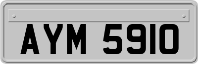 AYM5910
