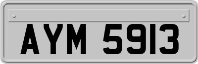 AYM5913