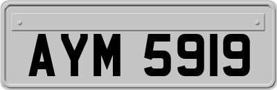 AYM5919