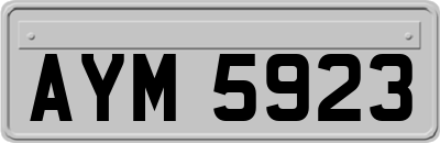 AYM5923