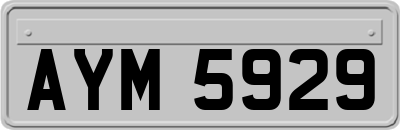 AYM5929