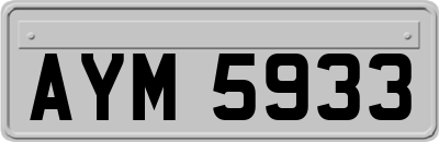 AYM5933