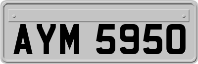 AYM5950
