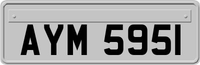 AYM5951