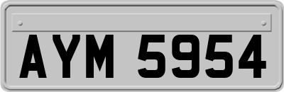 AYM5954