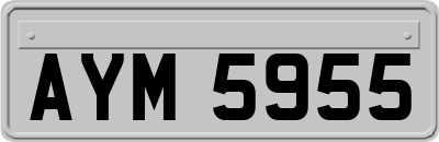 AYM5955