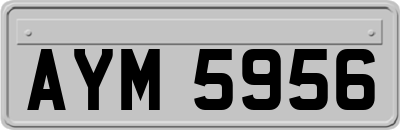 AYM5956