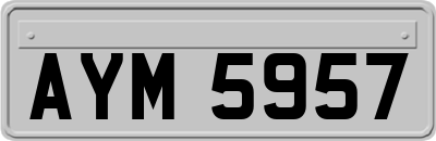 AYM5957