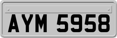 AYM5958