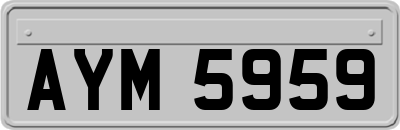 AYM5959