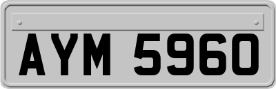 AYM5960