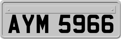 AYM5966