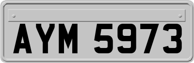 AYM5973