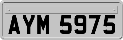 AYM5975
