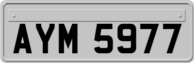 AYM5977