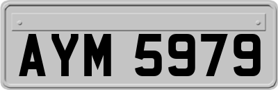 AYM5979