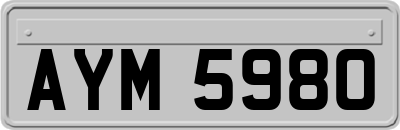 AYM5980