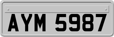 AYM5987