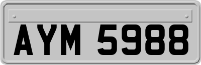 AYM5988