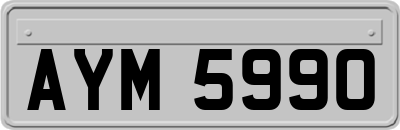 AYM5990