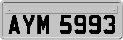 AYM5993