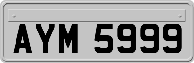 AYM5999