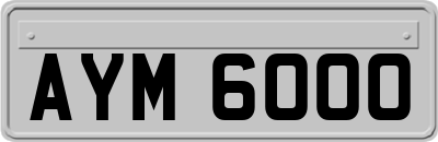 AYM6000