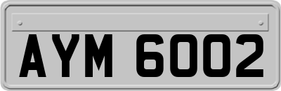 AYM6002