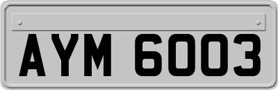 AYM6003