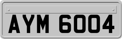 AYM6004