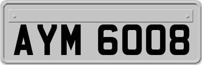 AYM6008