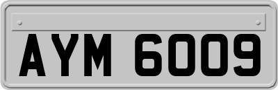 AYM6009