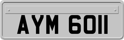 AYM6011