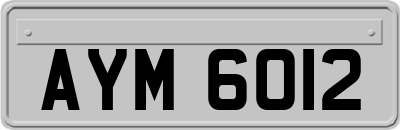 AYM6012