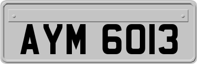 AYM6013