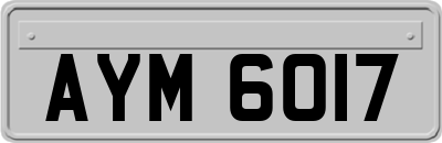 AYM6017